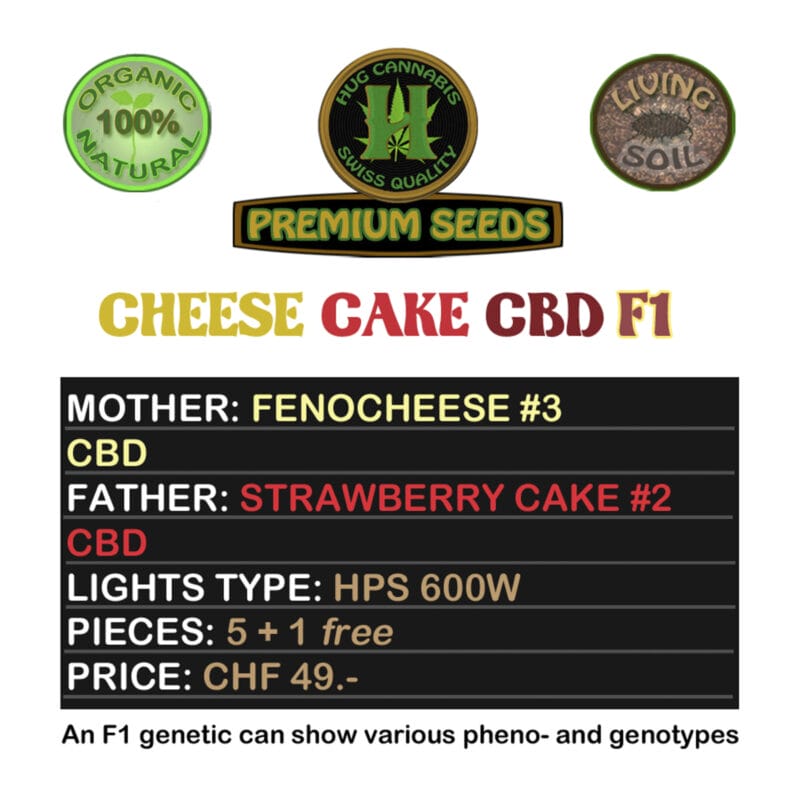 Hug Cannabis Cheese Cake CBD F1 5 Seeds + 1 Free