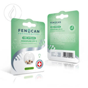 Fenocan Fenopure CBG Samen 3Stk