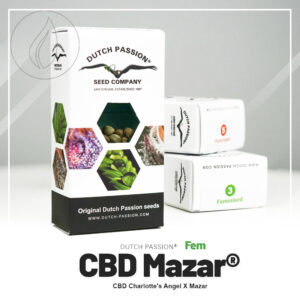 Dutch Passion CBD Mazar 10pcs