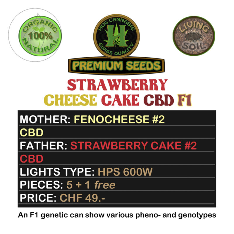 Hug Cannabis Strawberry Cheese Cake CBD F1 5 Seeds + 1 Free