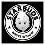 Starbuds White Widow 3g