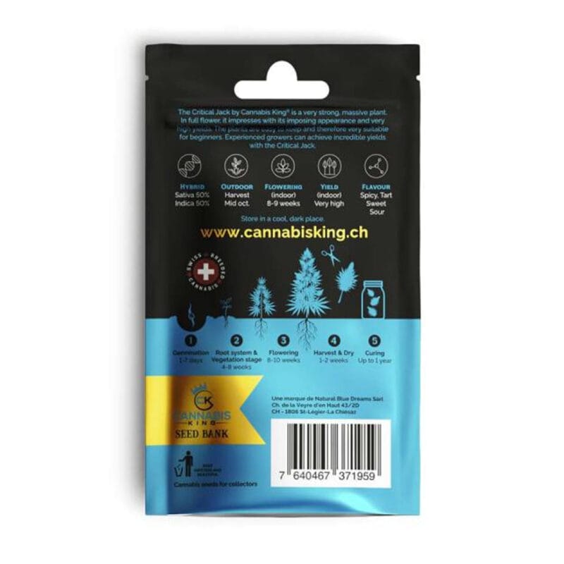 Cannabis King Critical Jack Seeds 3pcs